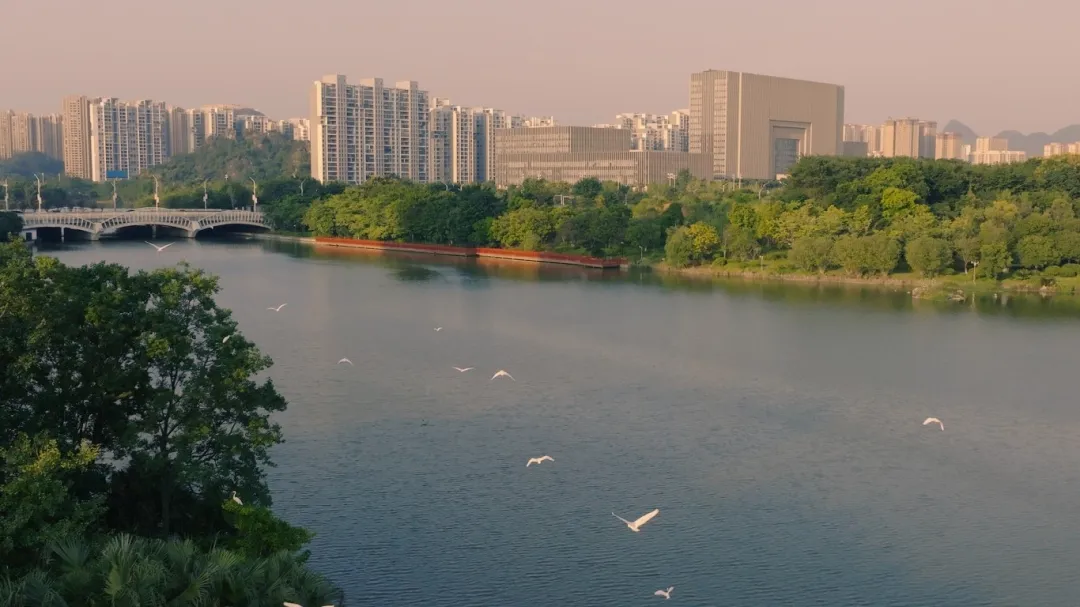72 新区水系.jpg