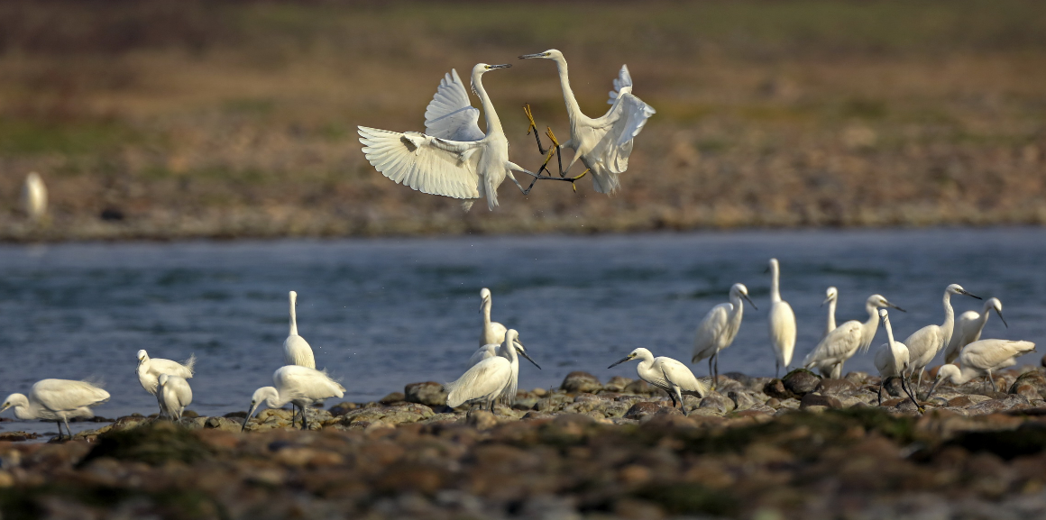 人与自然的共生
