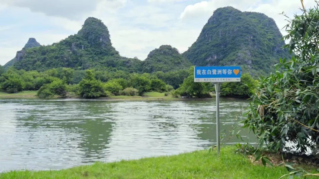 白鹭洲.jpeg