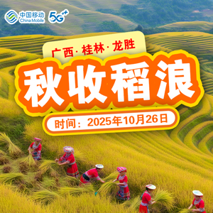 秋收稻浪