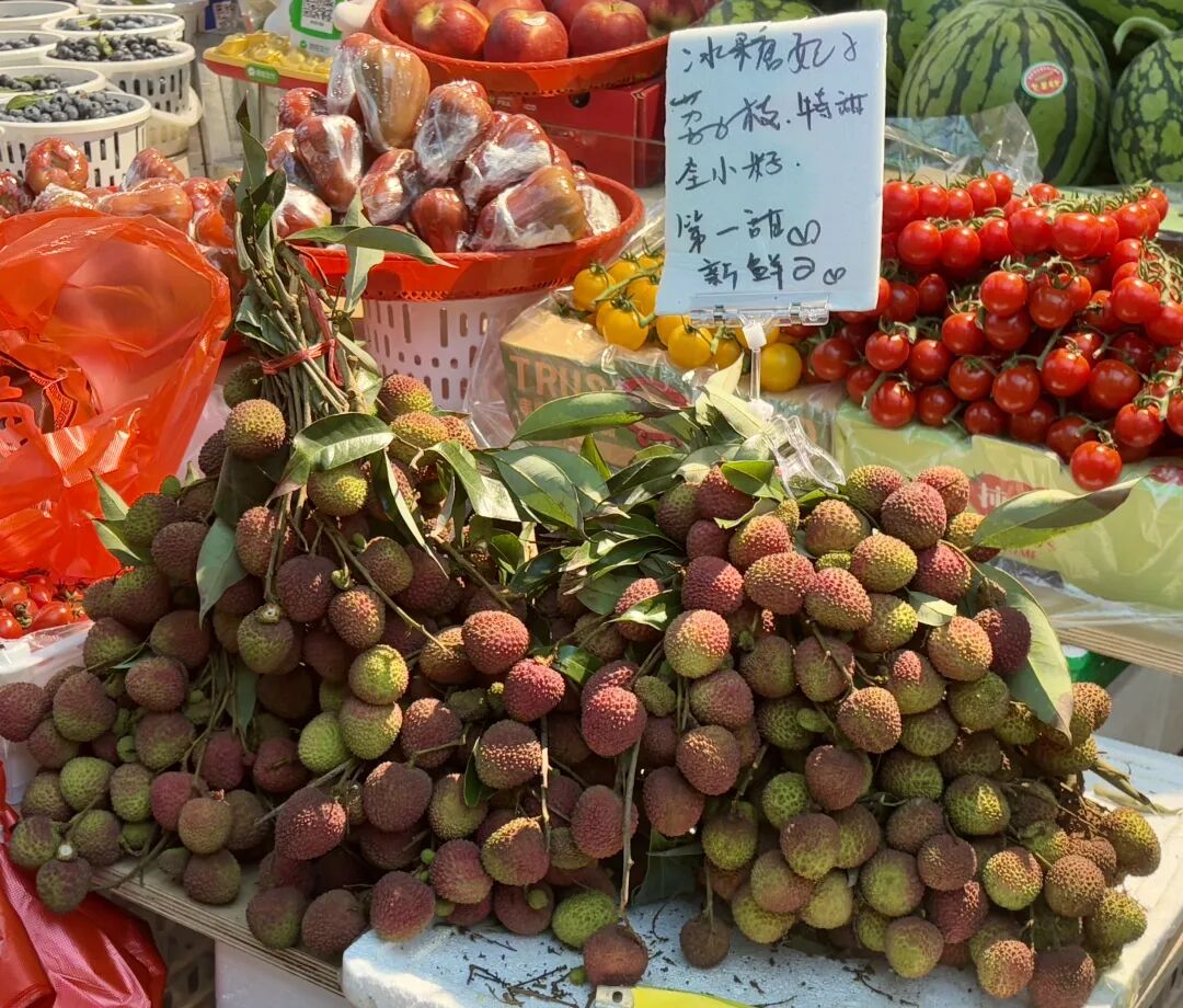 114e470b-3654-4d50-acbf-ba14c6d9dd97_l.jpg
