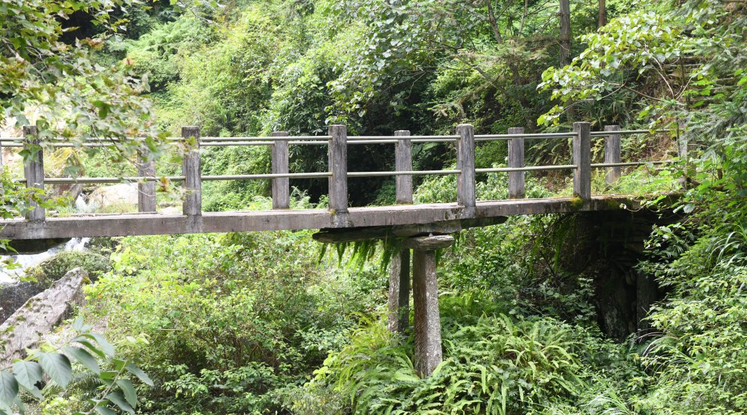 DSC_3215.JPG